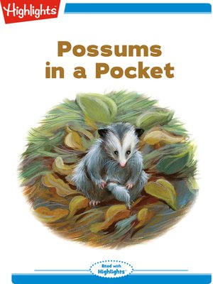 cover image of Possums in a Pocket